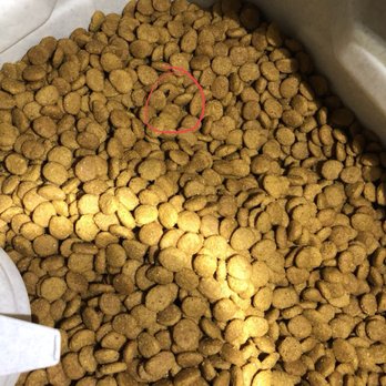 Petco - Pet Stores Near Me - Riverside, California