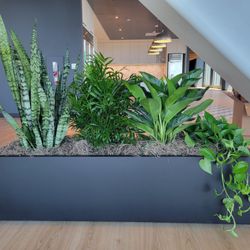 The Plant People