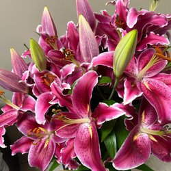 Oakland Smile Dental - Love these flowers at Oakland Smile Dental , Dr Amiri