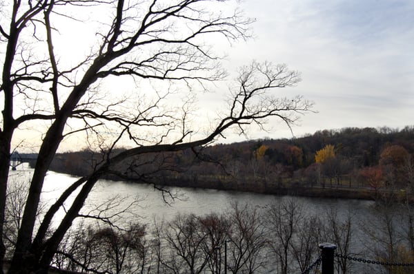 Laurel Hill East by null