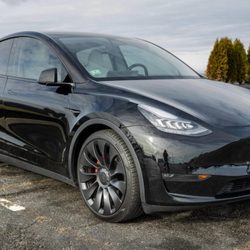 Honey Bee Rides - Tesla Model Y