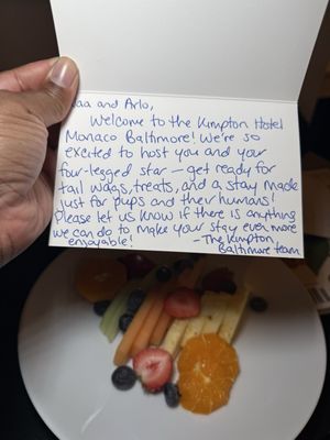 Kimpton Hotel Monaco Baltimore Inner Harbor by null