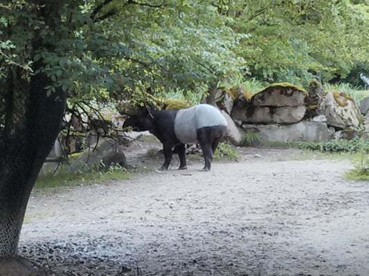 Hellabrunn Zoo by null