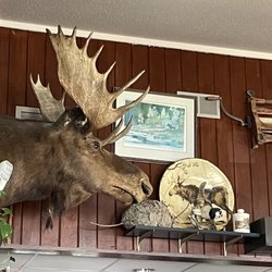 Moose Cafe Asheville - Moose Cafe interior