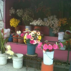 Puesto de Flores - Puesto flores Av toluca