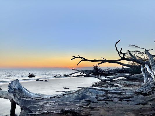 Big Talbot Island State Park by null