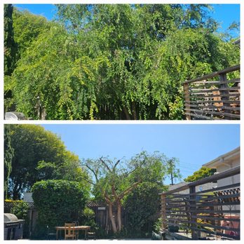 Passion & Janel Landscaping - Landscaping Near Me - Hercules, California Passion & Janel Landscaping - Landscaping Near Me - Hercules, California
