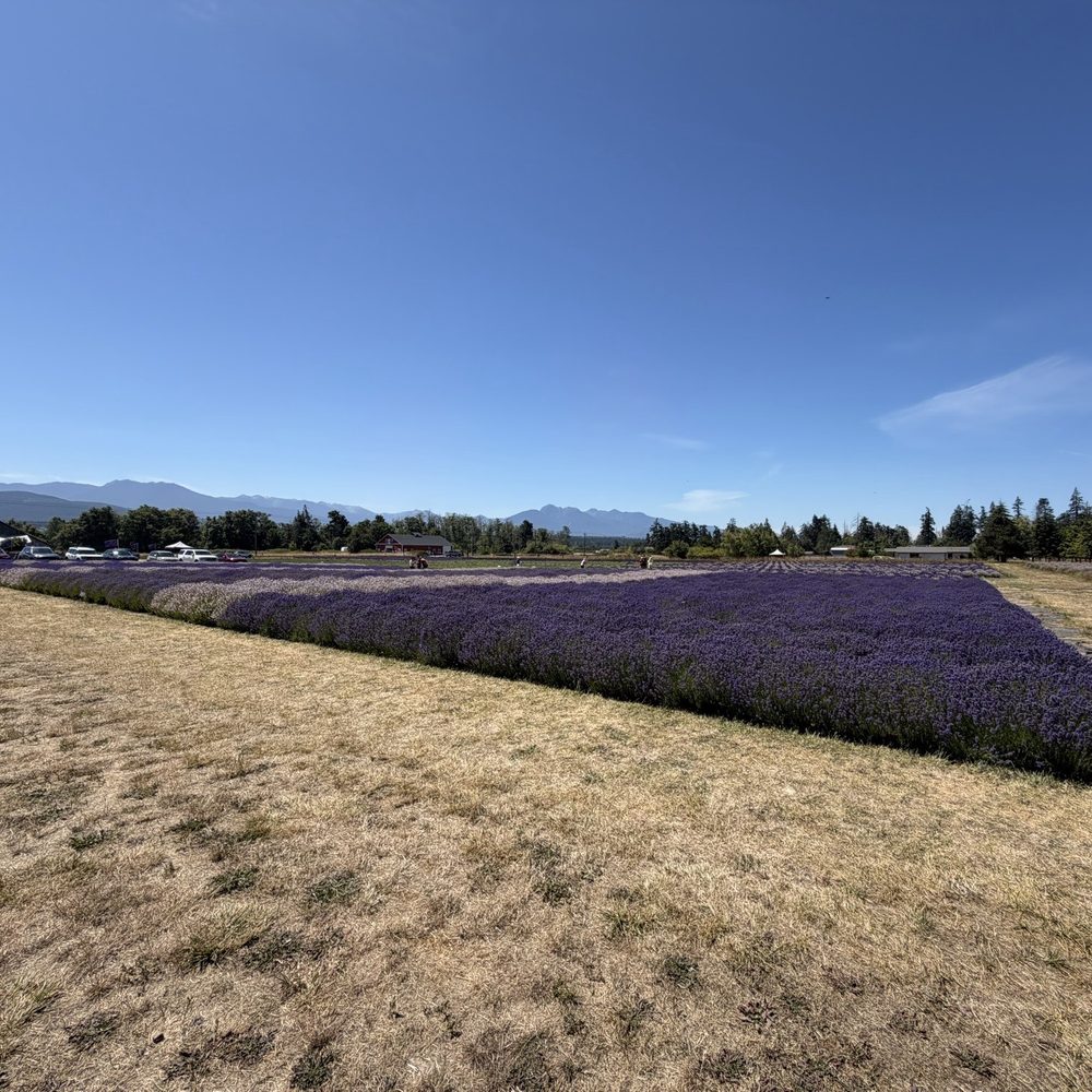 B & B Family Farm - Walking Tours Near Me - Sequim, Washington B & B Family Farm - Walking Tours Near Me - Sequim, Washington