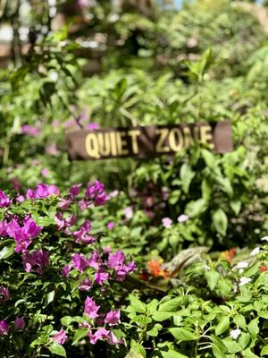 Sonya's Garden by null
