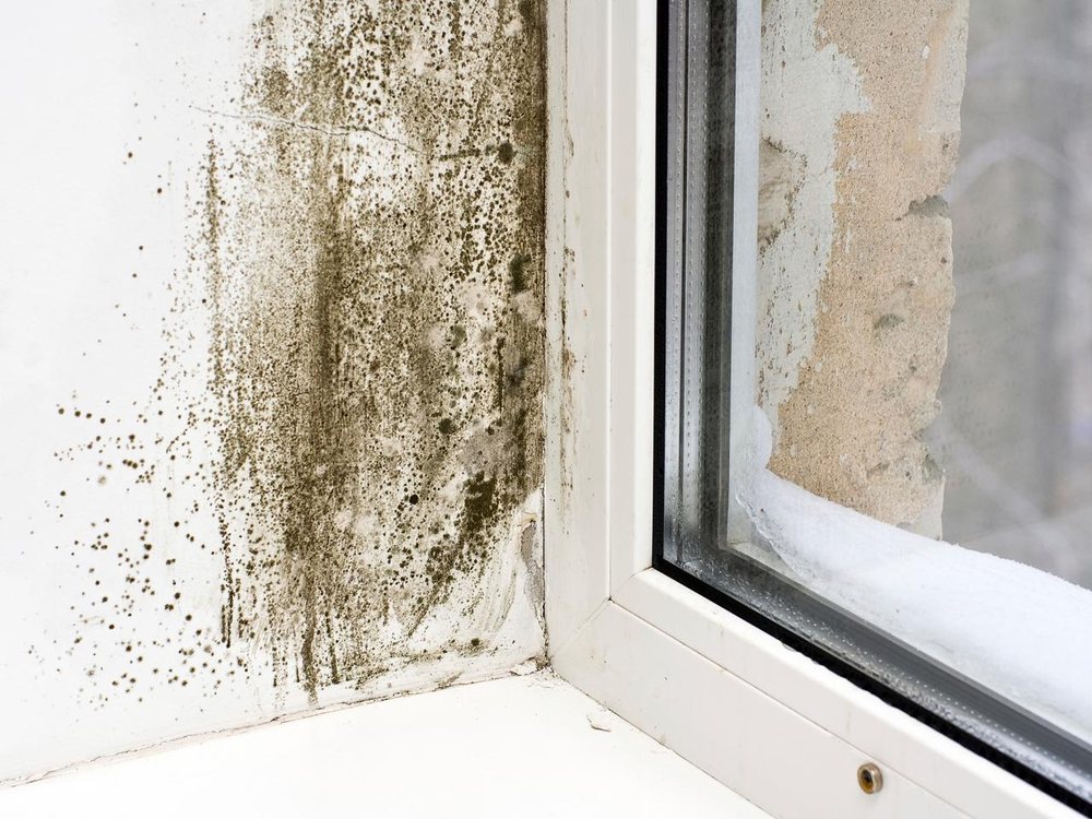On Top Home Inspections - mold inspector in Orem, UT