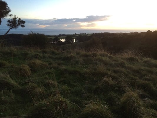 Cape Kidnappers by null