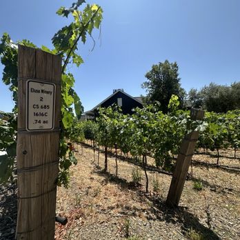 Truss Restaurant & Bar - Winery next door - New American Near Me - Calistoga, California