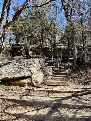 Dinosaur Valley State Park by null