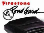 Comets to Koi - koi in Northford, CT