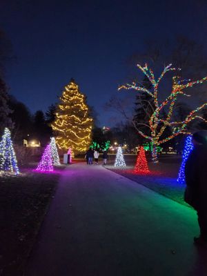 Queen Victoria Park by null