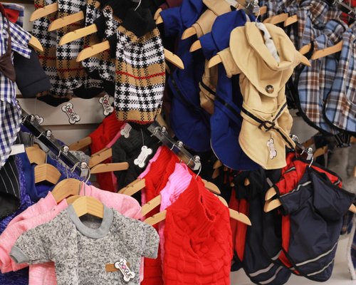 Dogue Grooming & Pet Boutique by null