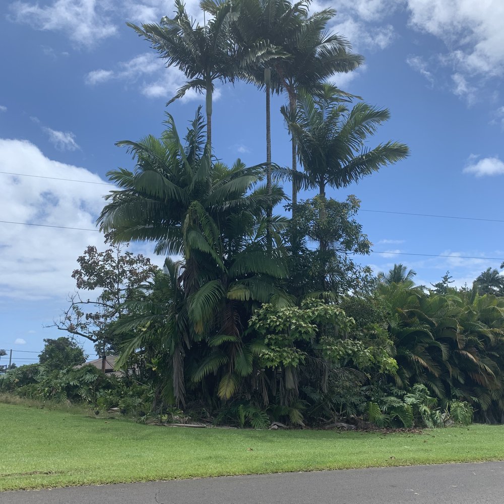 Pe'epe'e Falls & Boiling Pots - Parks Near Me - Hilo, Hawaii Pe'epe'e Falls & Boiling Pots - Parks Near Me - Hilo, Hawaii