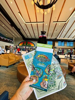 Wilderness Resort by null