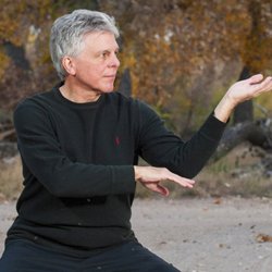 Winged Lion School of Tai Chi - "Dispersing Hands" Tai Chi