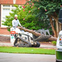 JP Tree Service