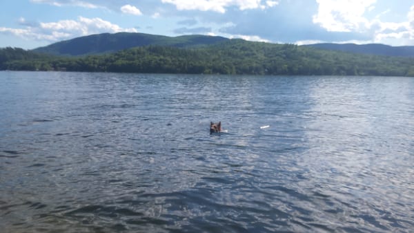 Newfound Lake by null