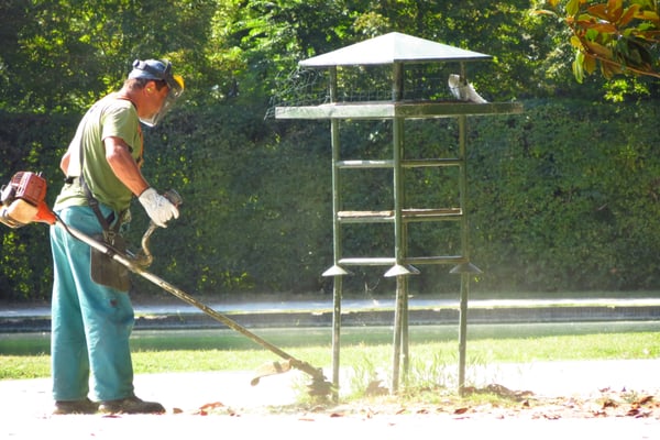 Parco Ducale by null