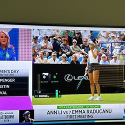 Tennis Channel - Tracy Austin.. I want to hear tennis balls not commenters