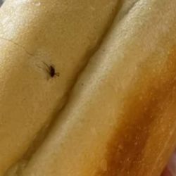 Jimmy John's
