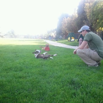 Drigon Dog Park - Dog Parks Near Me - Union City, California