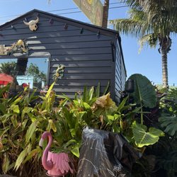 CocoCane Shack