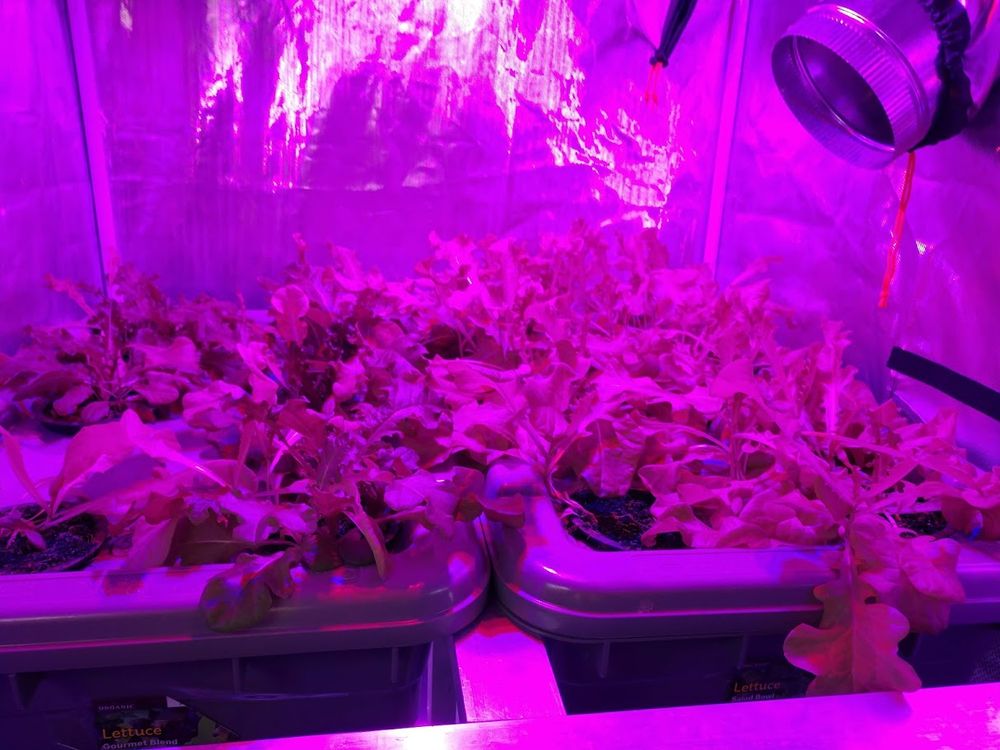 World Hunger Team - social services organization in Nashville, TN