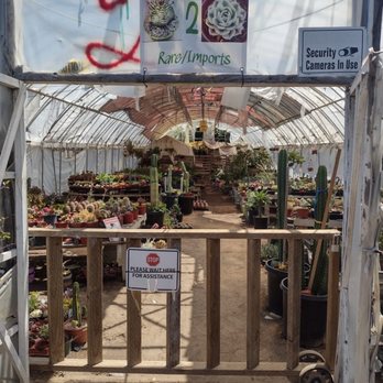 Mezcala Nursery - If you're a collector, make sure to check out this section. - Nurseries & Gardening Near Me - Long Beach, California Mezcala Nursery - If you're a collector, make sure to check out this section. - Nurseries & Gardening Near Me - Long Beach, California