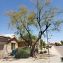 Photo of OG Landscaping