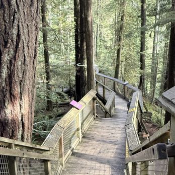 Capilano Suspension Bridge Park - Love me some boardwalks! - Parks Near Me - North Vancouver, British Columbia