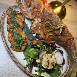 Snapper