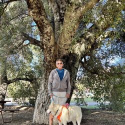 Thousand Trails - Resting by one of the beautiful oak trees