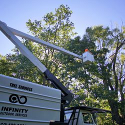 Tree Services In Fort Wayne Yelp