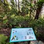 Photo of Lighthouse Park