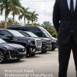 LEEMO - Premium Fleet.
Professional Chauffeurs Always.