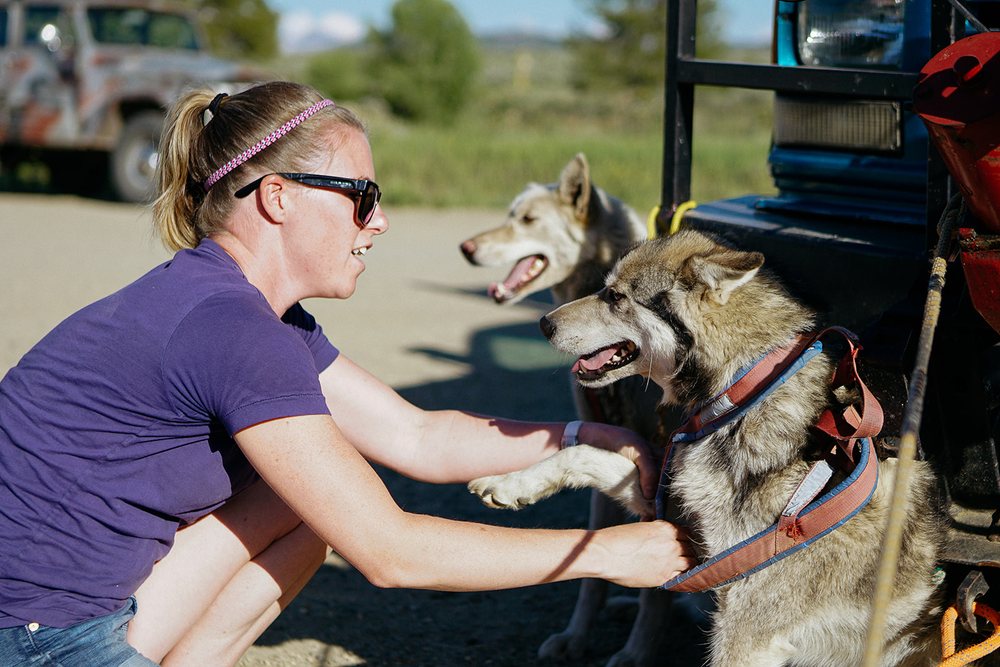 MOUNTAIN PAWS DOG SLED TOURS 54 Photos & 16 Reviews Pagosa Springs, Colorado Sledding