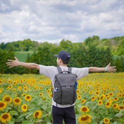 Brantwood Farms - Sunflower