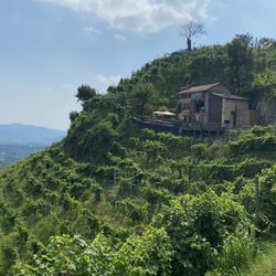 L'osteria Senza Oste - Such a beautiful spot, nestled on a hill among the vines!