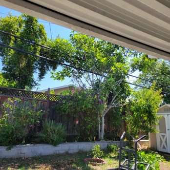 Emerald View Tree Service - Tree Services Near Me - San Jose, California