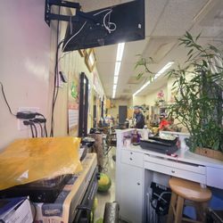 Johnny's Hair Studio