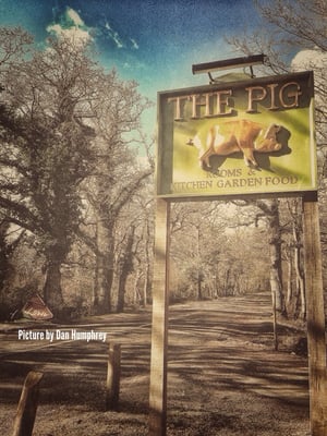 THE PIG by null