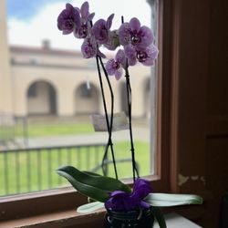 K & M Floral