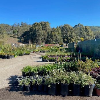 Pacific Nurseries - Nurseries & Gardening Near Me - Colma, California