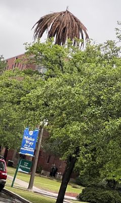 Tulane University by null