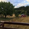 Alder Creek Guest Cottage gift card