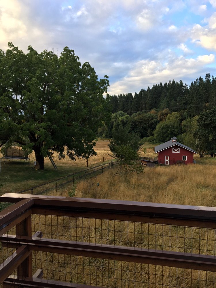 ALDER CREEK GUEST COTTAGE Updated September 2024 10 Photos 7920